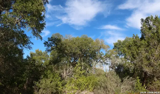 TBD 50 ACRES Wharton Dock Rd, Bandera, TX 78003 - #2