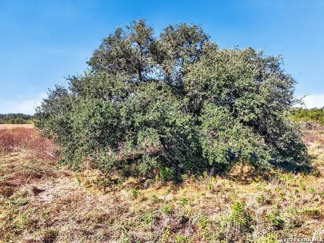 TRACT 18 Fm 1796, Dhanis, TX 78850 - #2
