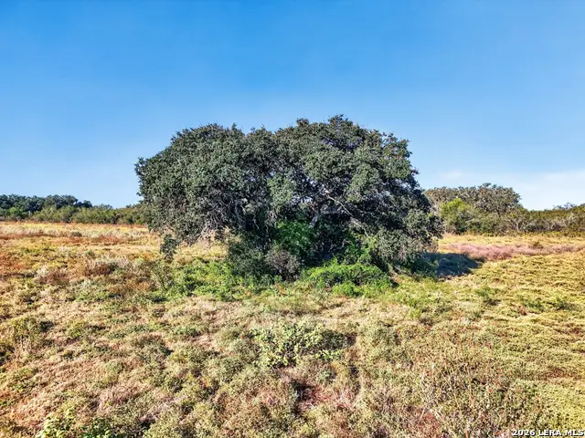 LOT 134 Fm 1796, Dhanis, TX 78850 - #1