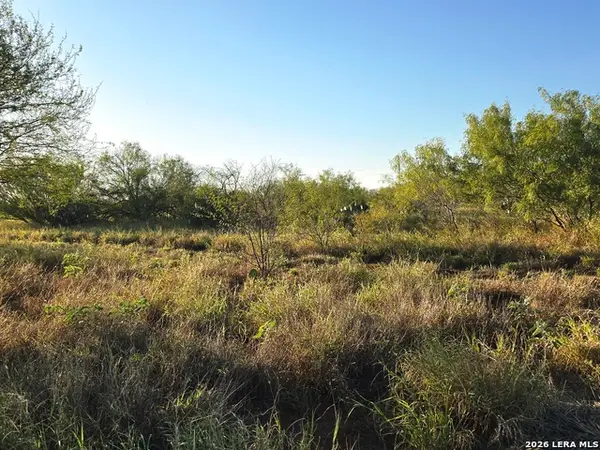 00 American, Cotulla, TX 78014