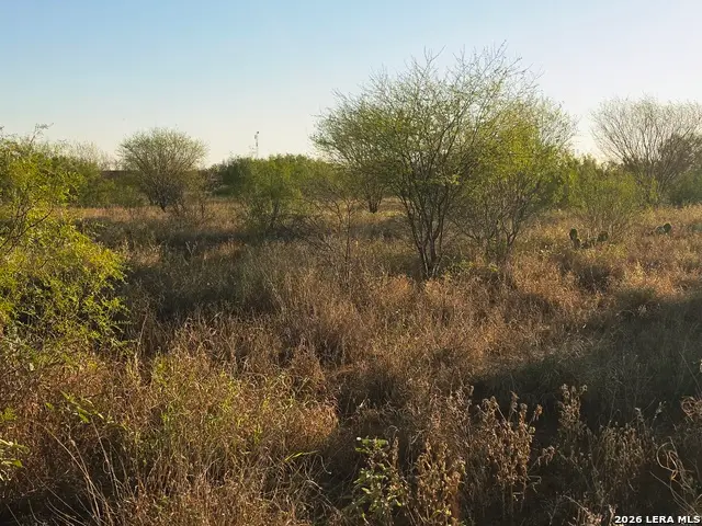 00 American, Cotulla, TX 78014 - #2
