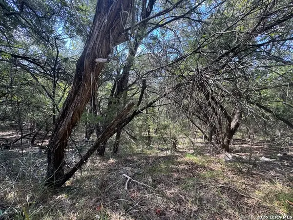 243 W Slope Trl, Lakehills, TX 78063