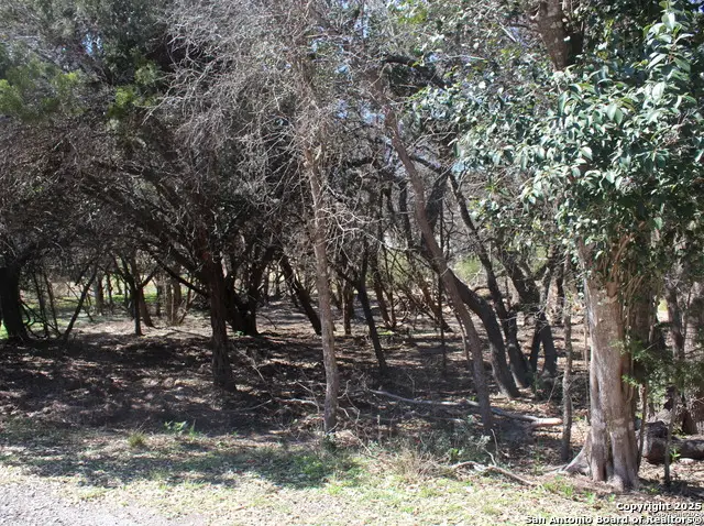 535 Ridgerock, Canyon Lake, TX 78133 - #3