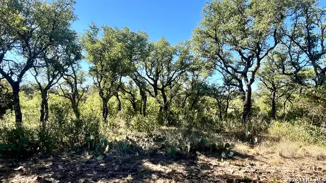2801 Heritage Dr, Melvin, TX 76858 - #3