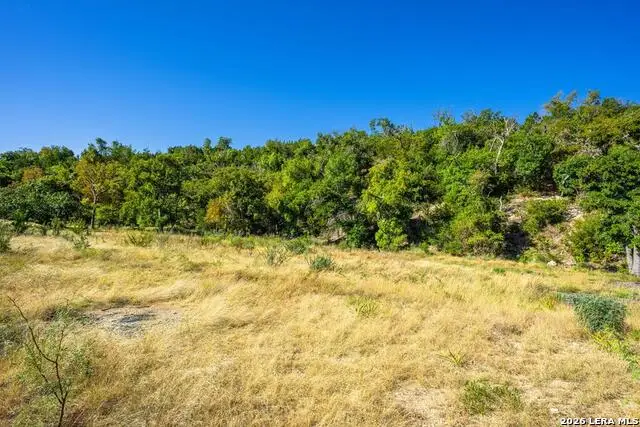 5579 Schneider Moellering Rd, Fredericksburg, TX 78624 - #1