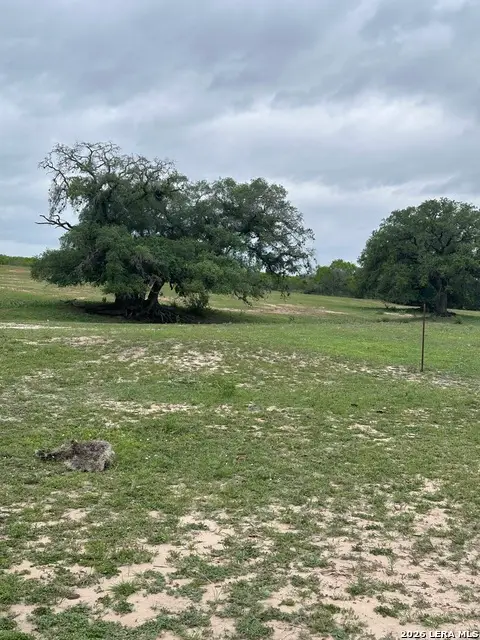 TBD (TR 2) W Gates Valley Rd, Poteet, TX 78065 - #3