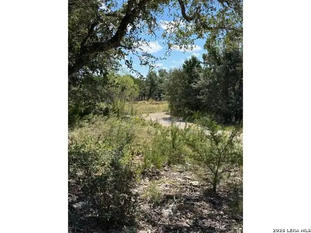 210 Ghost Dancer, Fischer, TX 78623 - #3