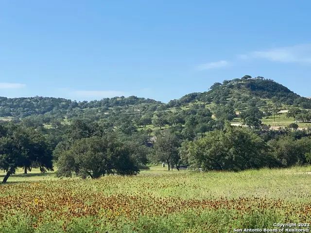 LOT 56 Red Stag Lane, Pipe Creek, TX 78063 - #3