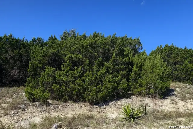 119 N Stallion Estates Dr., Spring Branch, TX 78070 - #1