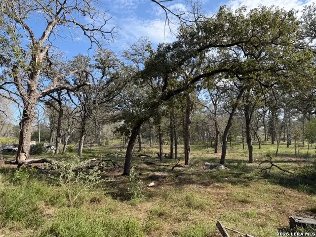 203 Flores Oaks Dr, Floresville, TX 78114 - #2