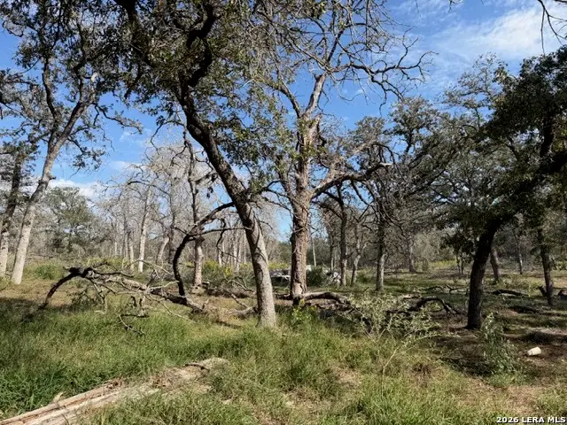 203 Flores Oaks Dr, Floresville, TX 78114 - #3