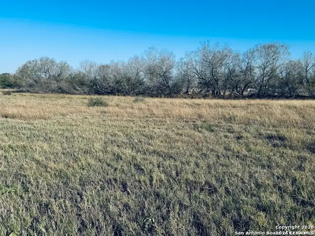 TBD BYRD ROAD Byrd, La Vernia, TX 78064 - #3