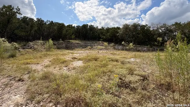 234 Longwood, New Braunfels, TX 78132 - #3