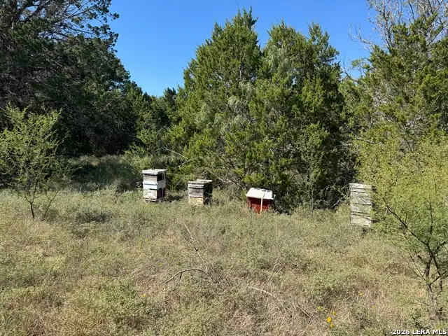 20530 Schneider Ln, San Antonio, TX 78266 - #3