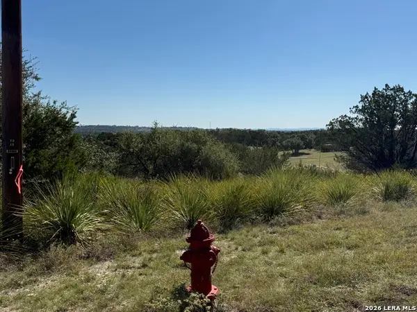 390 Thoroughbred Ln, Spring Branch, TX 78070