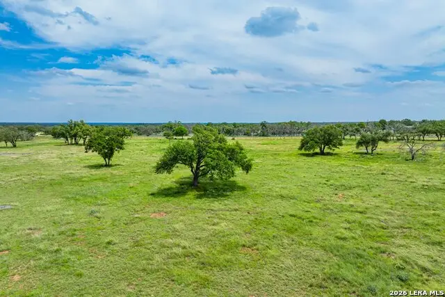 LOT 79 Stock Pond Dr, Harper, TX 78631 - #3