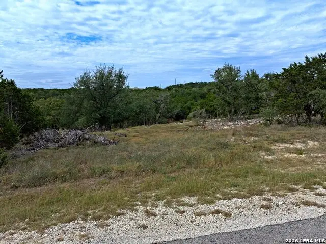 118 Flanders, Fischer, TX 78623 - #3