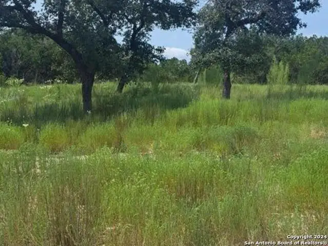 1064 Ken Wayne, Spring Branch, TX 78070 - #3