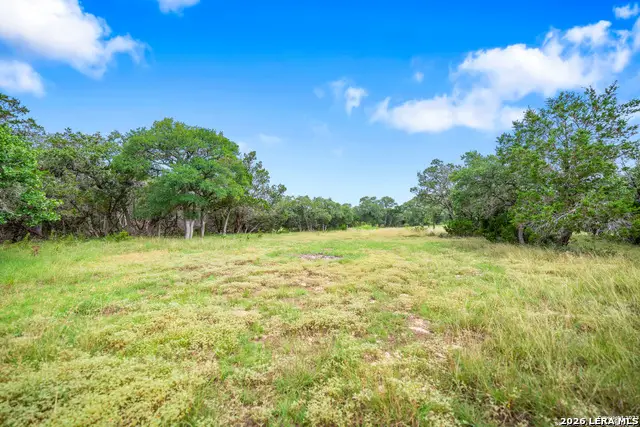 29711 Fm 306, Spring Branch, TX 78070 - #2