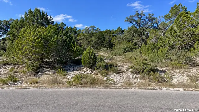 909 Blueridge Vw, Canyon Lake, TX 78133 - #3