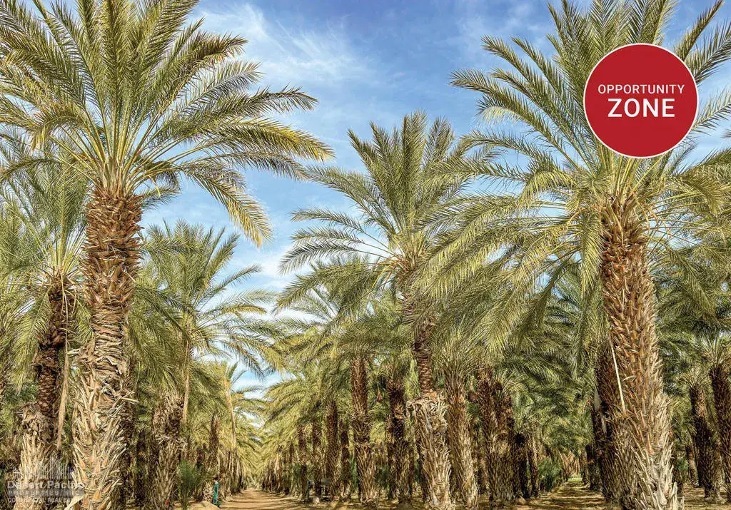 0 N Ave 62 & Pierce St, Thermal, CA 92274 - #1
