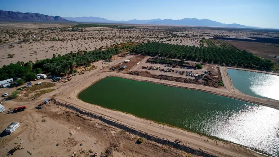24511 Rice Rd, Desert Center, CA 92239 - #2