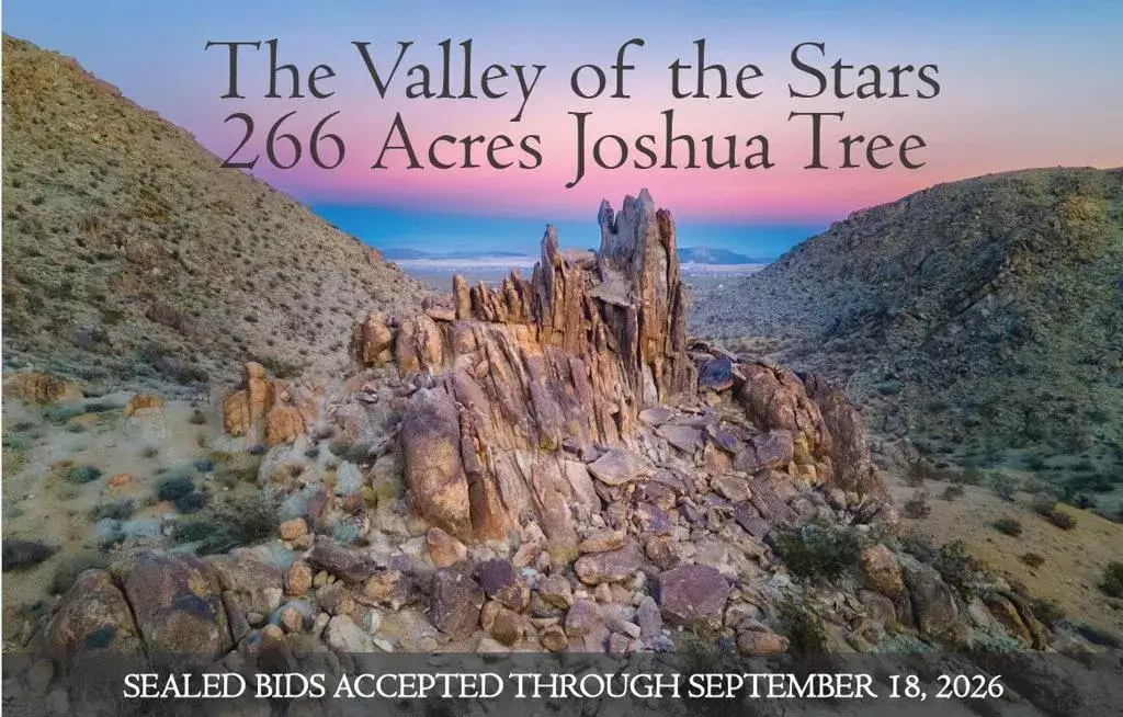 61271 Calle Los Amigos, Joshua Tree, CA 92252 - #1