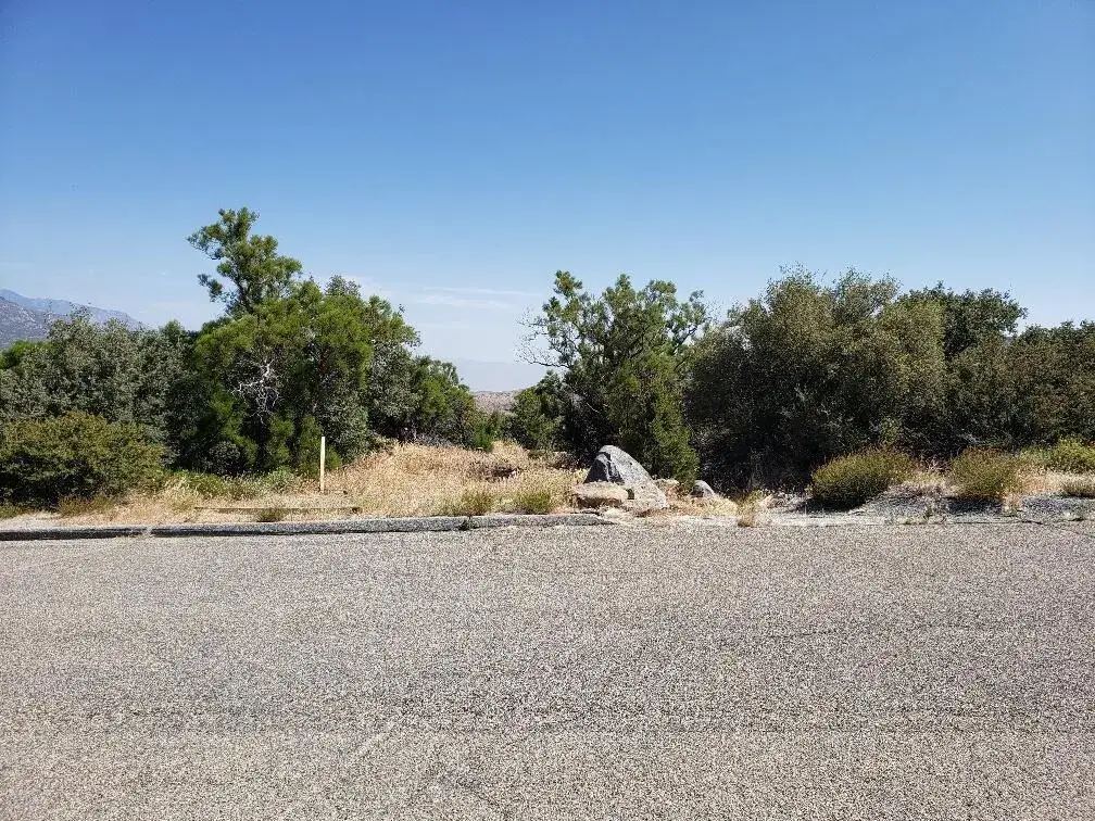 0 Ribbonwood, Mountain Center, CA 92561 - #1
