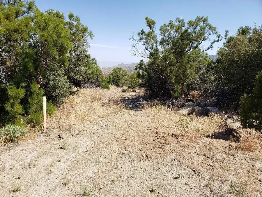 0 Ribbonwood, Mountain Center, CA 92561 - #3