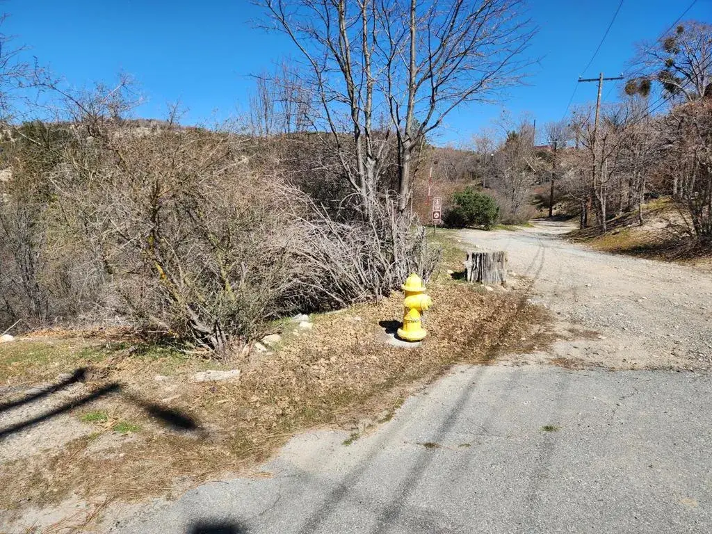 0 Elder, Cedar Glen, CA 92321 - #1