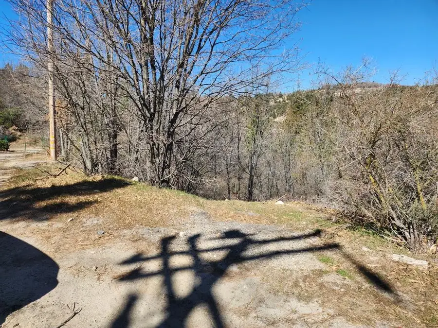 0 Elder, Cedar Glen, CA 92321 - #2