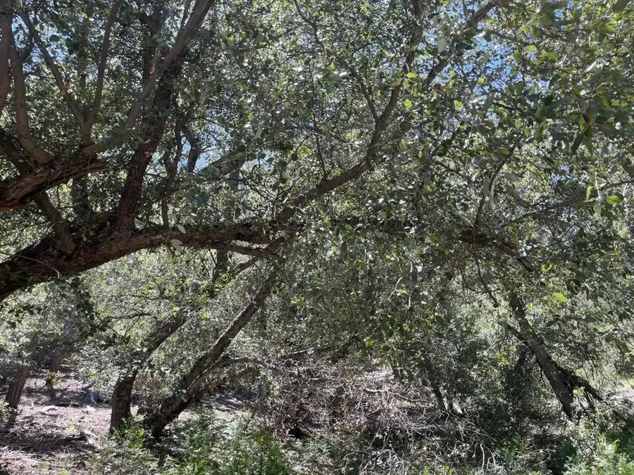 0 Middleridge, Idyllwild, CA 92549 - #2