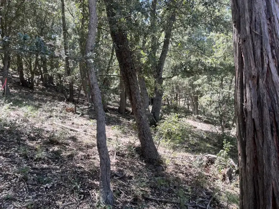 0 Middleridge, Idyllwild, CA 92549 - #3