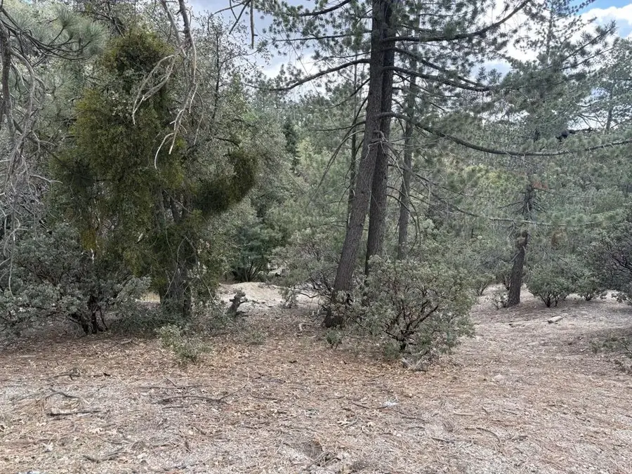 0 Schaffer, Idyllwild Pine Cove, CA 92549 - #3