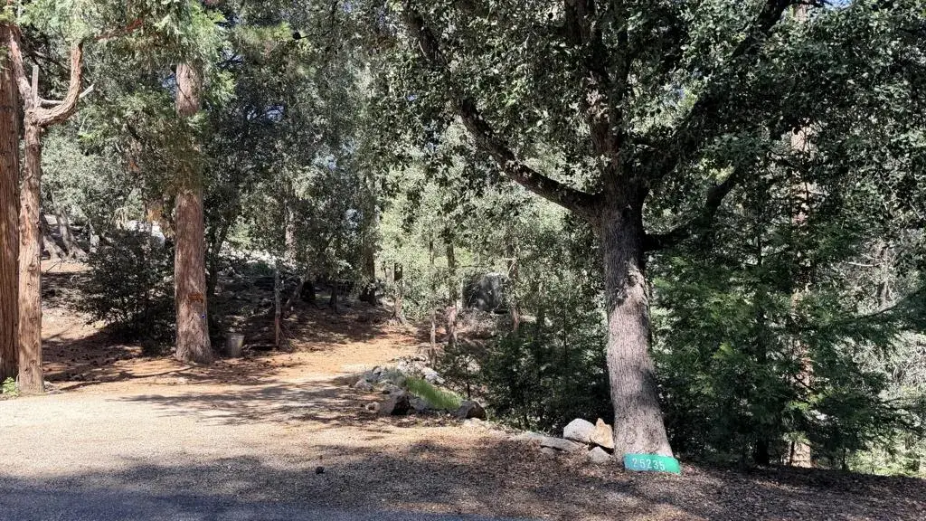 25235 Nestwa, Idyllwild, CA 92549 - #1