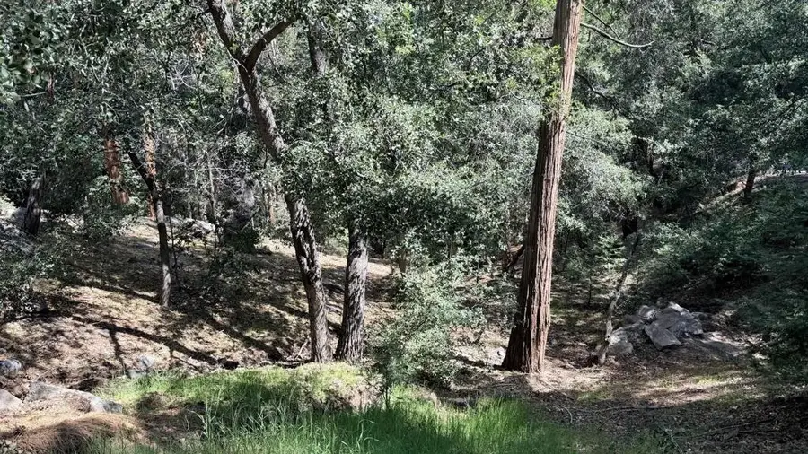 25235 Nestwa, Idyllwild, CA 92549 - #2