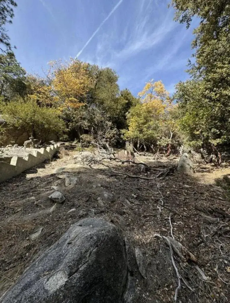 53642 Jeffrey Pine, Idyllwild, CA 92549 - #3