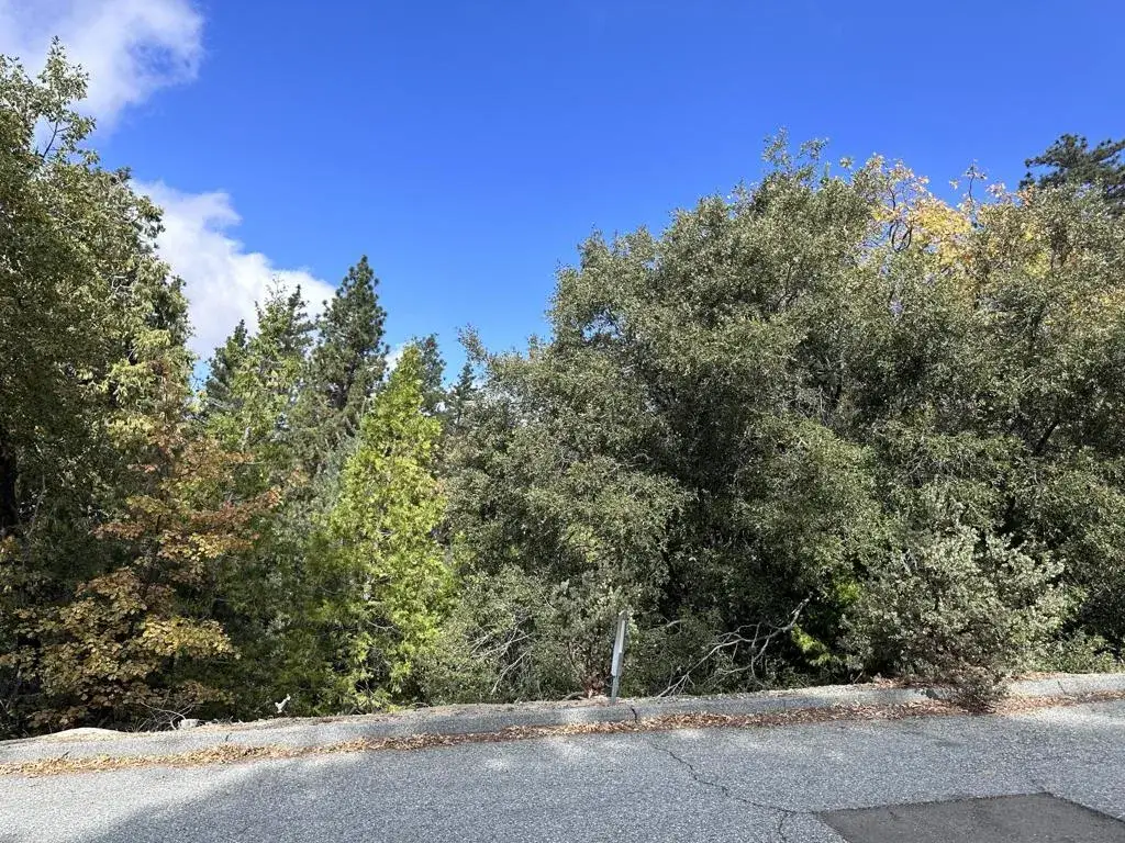 Address Withheld By Seller, Idyllwild, CA 92549 - #1