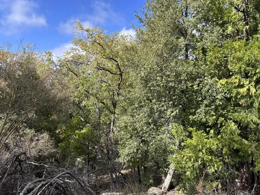 Address Withheld By Seller, Idyllwild, CA 92549 - #2