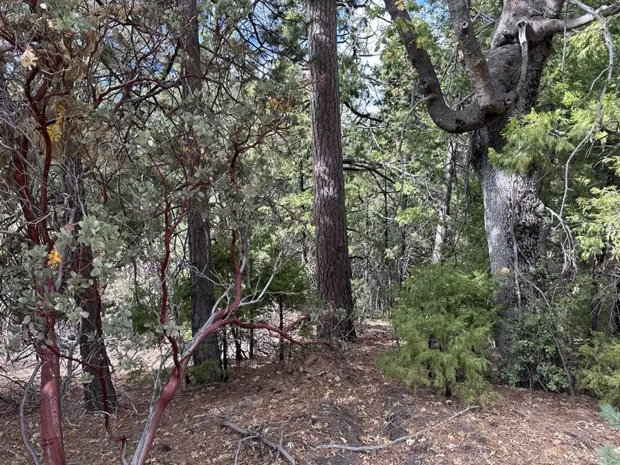Address Withheld By Seller, Idyllwild, CA 92549 - #3