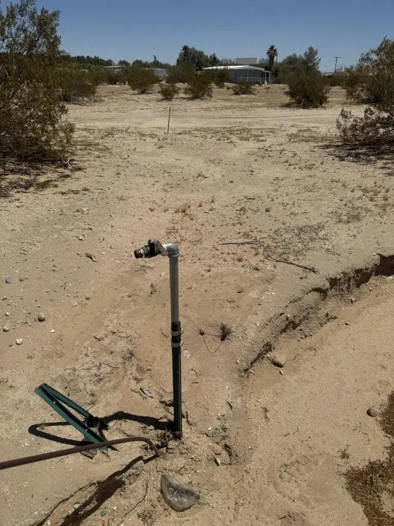 4662 Sierra, Twentynine Palms, CA 92277 - #3
