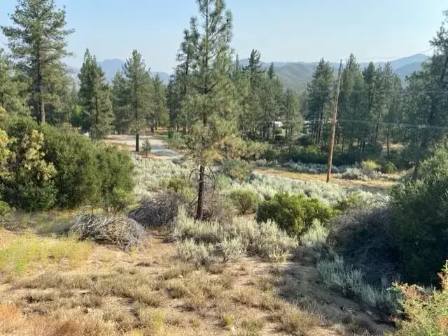 Pipe Creek, Mountain Center, CA 92561 - #2