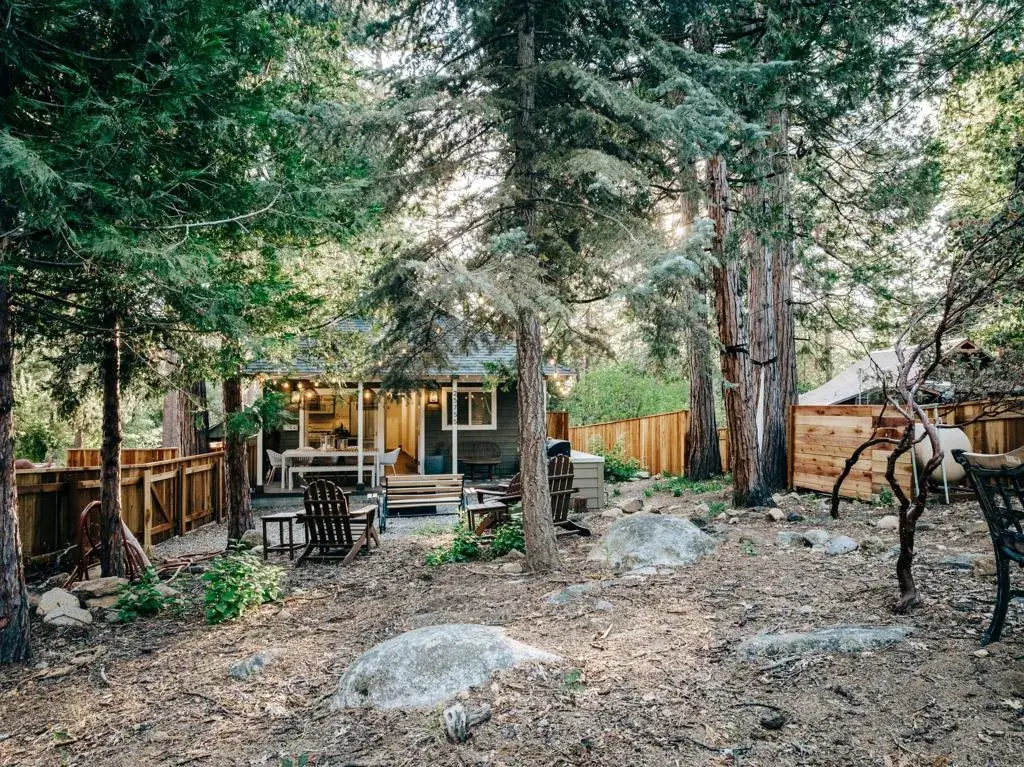 25755 Alderwood Street, Idyllwild, CA 92549 - #1