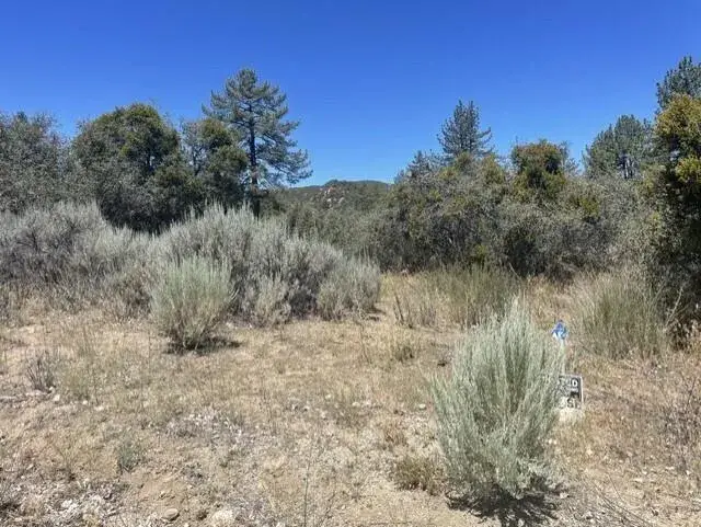 0 Devils Ladder, Mountain Center, CA 92561 - #3