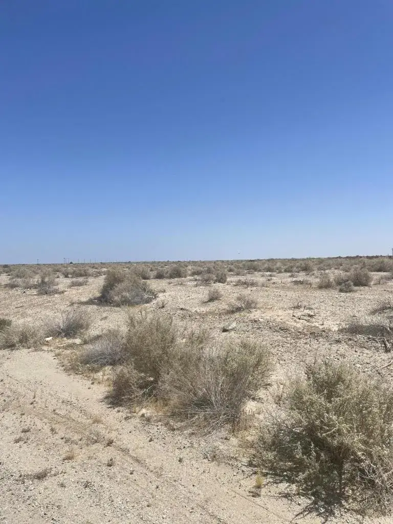 817 Salton, Thermal, CA 92274 - #3