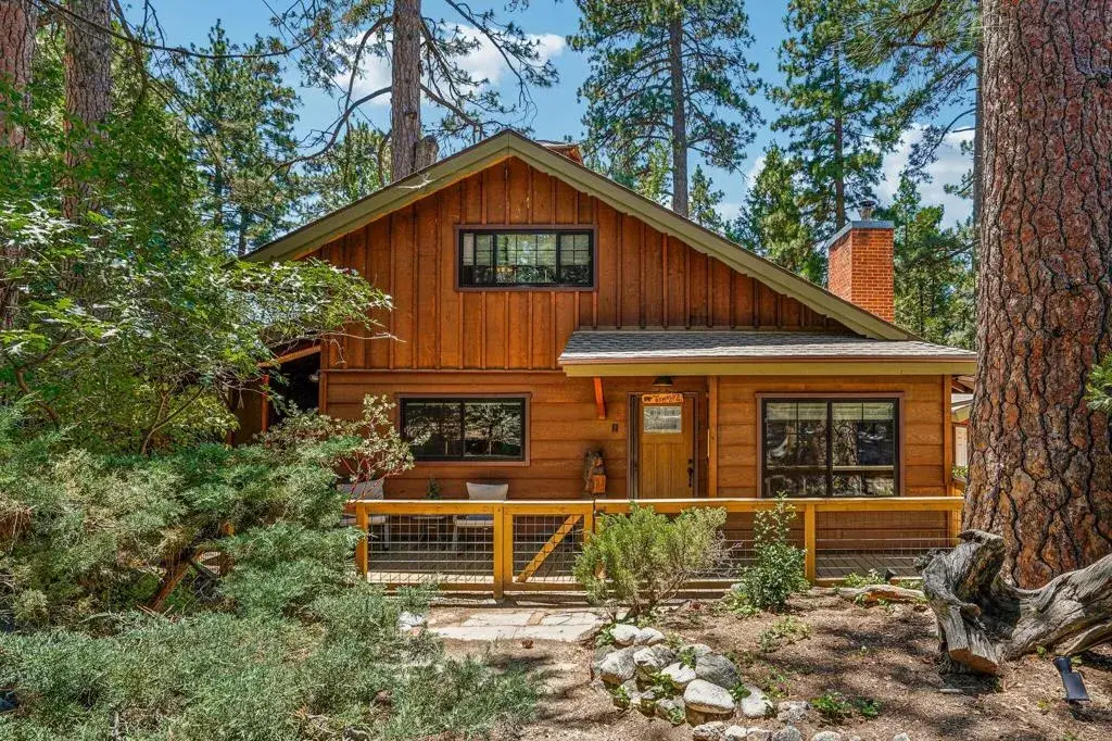53325 Double View Drive, Idyllwild, CA 92549 - #1