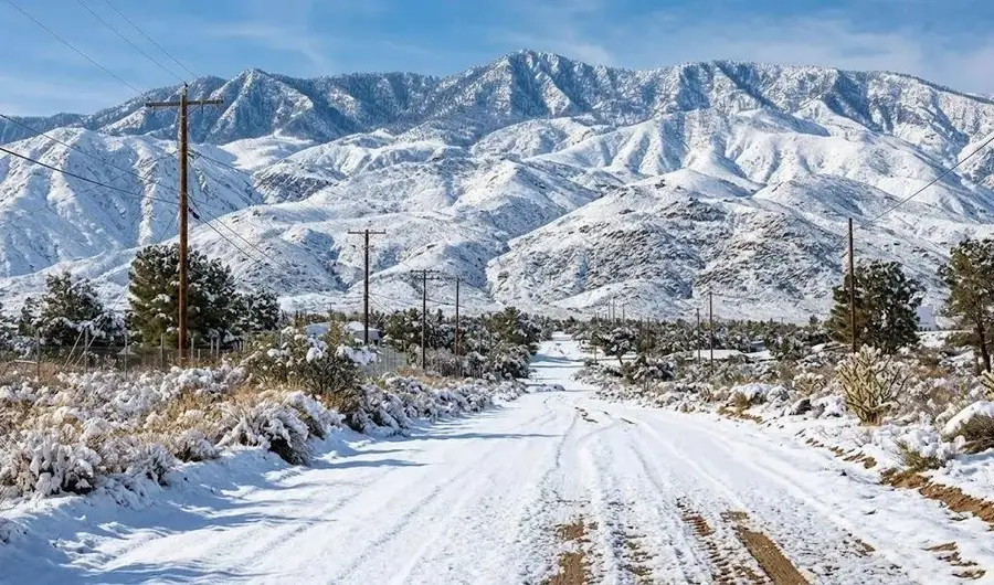 63330 Jeraboa, Mountain Center, CA 92561 - #3