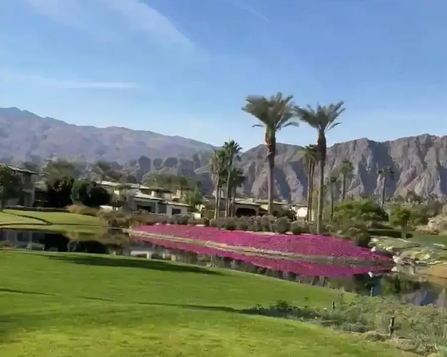 53031 Via Savona, La Quinta, CA 92253 - #2