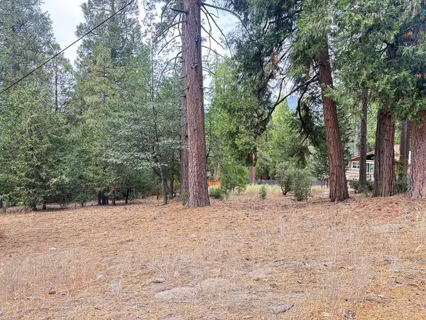 54218 Marian View, Idyllwild, CA 92549