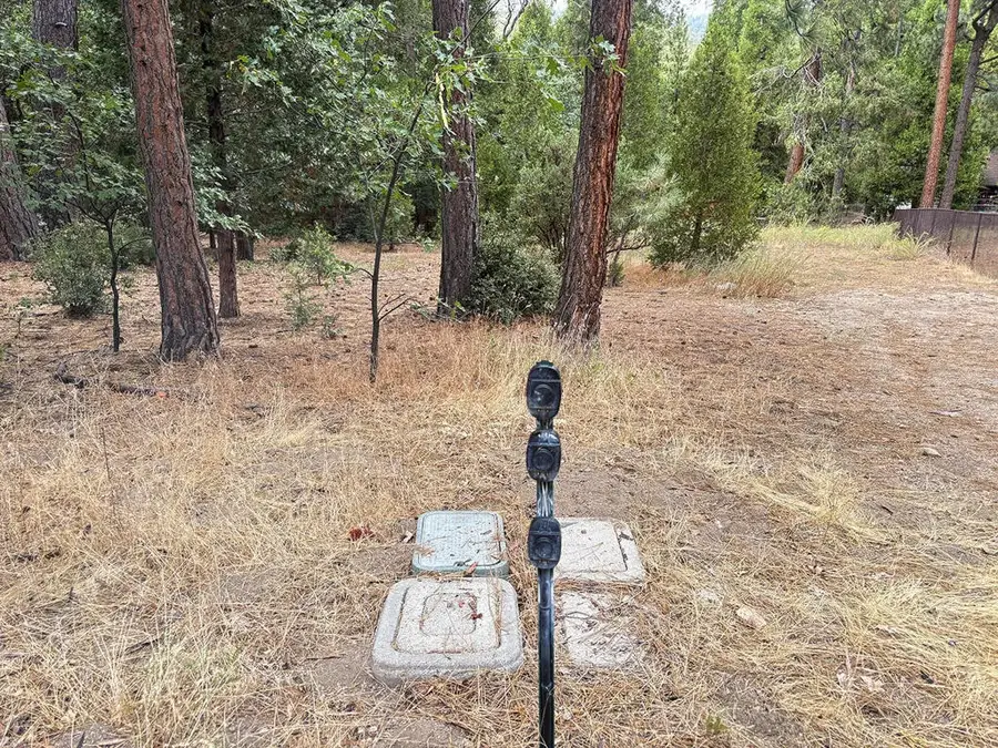 54218 Marian View, Idyllwild, CA 92549 - #2